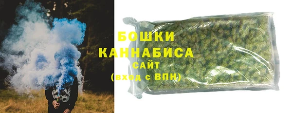 сатива Богородицк