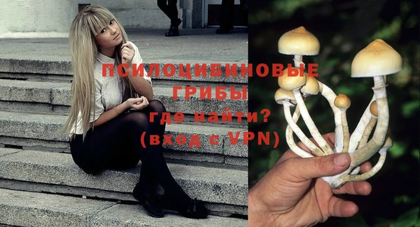 кокаин Богданович