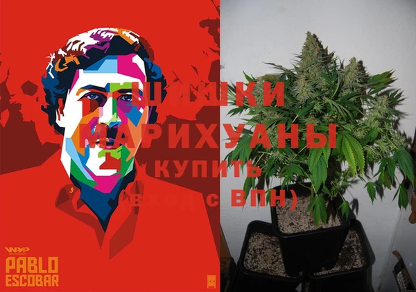 кокаин Богданович
