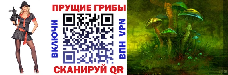 Псилоцибиновые грибы Magic Shrooms  Горно-Алтайск 