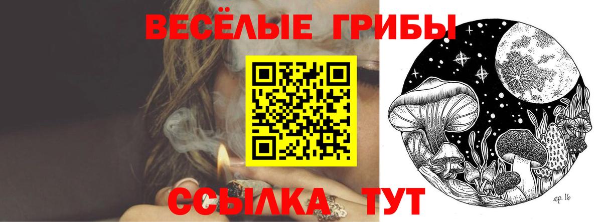Псилоцибиновые грибы GOLDEN TEACHER Горно-Алтайск