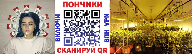 mega tor  Горно-Алтайск  Канабис ГИДРОПОН 